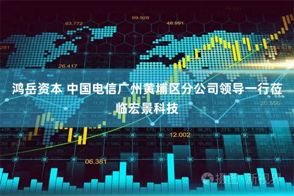 鸿岳资本 中国电信广州黄埔区分公司领导一行莅临宏景科技